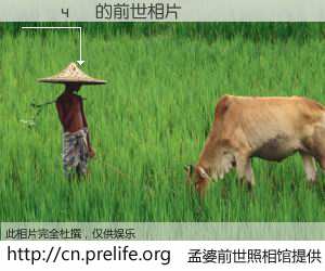 #孟婆前世照相馆# 【��чƼ 的前世相片】我们都曾从奈何桥上走过，喝下三碗忘川之水烹煮的孟婆汤，忘却了前尘旧事。孟婆前世照相馆，保存着你前世的数码相片。��чƼ 的前世相片，有图有真相：