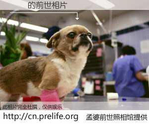 #孟婆前世照相馆# 【֣ƽ 的前世相片】我们都曾从奈何桥上走过，喝下三碗忘川之水烹煮的孟婆汤，忘却了前尘旧事。孟婆前世照相馆，保存着你前世的数码相片。֣ƽ 的前世相片，有图有真相：