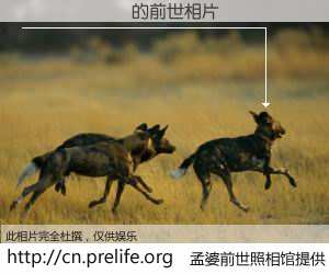 #孟婆前世照相馆# 【������ 的前世相片】我们都曾从奈何桥上走过，喝下三碗忘川之水烹煮的孟婆汤，忘却了前尘旧事。孟婆前世照相馆，保存着你前世的数码相片。������ 的前世相片，有图有真相：
