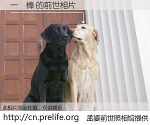 #孟婆前世照相馆# 【一級棒 的前世相片】我们都曾从奈何桥上走过，喝下三碗忘川之水烹煮的孟婆汤，忘却了前尘旧事。孟婆前世照相馆，保存着你前世的数码相片。一級棒 的前世相片，有图有真相：