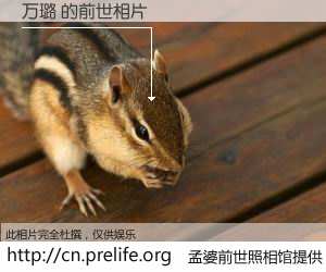 #孟婆前世照相馆# 【万璐 的前世相片】我们都曾从奈何桥上走过，喝下三碗忘川之水烹煮的孟婆汤，忘却了前尘旧事。孟婆前世照相馆，保存着你前世的数码相片。万璐 的前世相片，有图有真相：