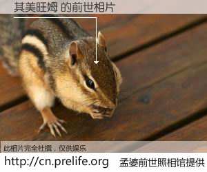 #孟婆前世照相馆# 【其美旺姆 的前世相片】我们都曾从奈何桥上走过，喝下三碗忘川之水烹煮的孟婆汤，忘却了前尘旧事。孟婆前世照相馆，保存着你前世的数码相片。其美旺姆 的前世相片，有图有真相：