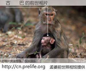 #孟婆前世照相馆# 【古爾圖巴 的前世相片】我们都曾从奈何桥上走过，喝下三碗忘川之水烹煮的孟婆汤，忘却了前尘旧事。孟婆前世照相馆，保存着你前世的数码相片。古爾圖巴 的前世相片，有图有真相：