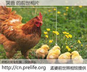 #孟婆前世照相馆# 【哭爸 的前世相片】我们都曾从奈何桥上走过，喝下三碗忘川之水烹煮的孟婆汤，忘却了前尘旧事。孟婆前世照相馆，保存着你前世的数码相片。哭爸 的前世相片，有图有真相：