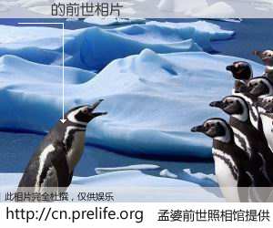 #孟婆前世照相馆# 【堊謩 的前世相片】我们都曾从奈何桥上走过，喝下三碗忘川之水烹煮的孟婆汤，忘却了前尘旧事。孟婆前世照相馆，保存着你前世的数码相片。堊謩 的前世相片，有图有真相：