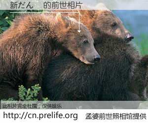 #孟婆前世照相馆# 【新だん紙 的前世相片】我们都曾从奈何桥上走过，喝下三碗忘川之水烹煮的孟婆汤，忘却了前尘旧事。孟婆前世照相馆，保存着你前世的数码相片。新だん紙 的前世相片，有图有真相：