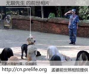 #孟婆前世照相馆# 【无聊先生 的前世相片】我们都曾从奈何桥上走过，喝下三碗忘川之水烹煮的孟婆汤，忘却了前尘旧事。孟婆前世照相馆，保存着你前世的数码相片。无聊先生 的前世相片，有图有真相：