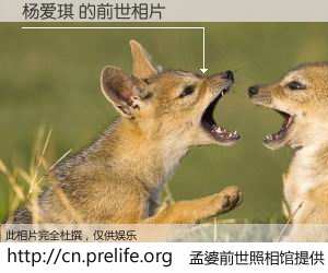 #孟婆前世照相馆# 【杨爱琪 的前世相片】我们都曾从奈何桥上走过，喝下三碗忘川之水烹煮的孟婆汤，忘却了前尘旧事。孟婆前世照相馆，保存着你前世的数码相片。杨爱琪 的前世相片，有图有真相：