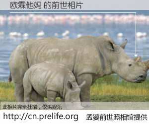 #孟婆前世照相馆# 【欧霖他妈 的前世相片】我们都曾从奈何桥上走过，喝下三碗忘川之水烹煮的孟婆汤，忘却了前尘旧事。孟婆前世照相馆，保存着你前世的数码相片。欧霖他妈 的前世相片，有图有真相：