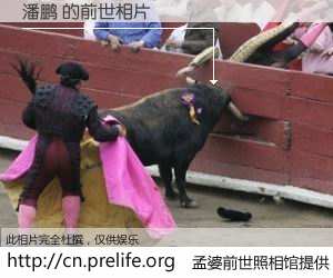 #孟婆前世照相馆# 【潘鹏 的前世相片】我们都曾从奈何桥上走过，喝下三碗忘川之水烹煮的孟婆汤，忘却了前尘旧事。孟婆前世照相馆，保存着你前世的数码相片。潘鹏 的前世相片，有图有真相：