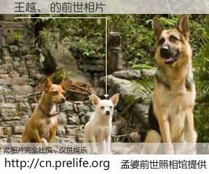 #孟婆前世照相馆# 【王越、 的前世相片】我们都曾从奈何桥上走过，喝下三碗忘川之水烹煮的孟婆汤，忘却了前尘旧事。孟婆前世照相馆，保存着你前世的数码相片。王越、 的前世相片，有图有真相：