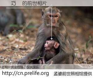 #孟婆前世照相馆# 【盧巧倫 的前世相片】我们都曾从奈何桥上走过，喝下三碗忘川之水烹煮的孟婆汤，忘却了前尘旧事。孟婆前世照相馆，保存着你前世的数码相片。盧巧倫 的前世相片，有图有真相：