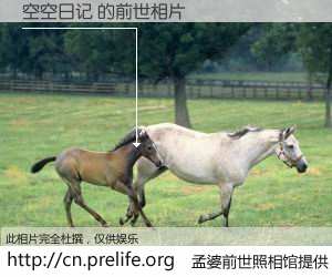 #孟婆前世照相馆# 【空空日记 的前世相片】我们都曾从奈何桥上走过，喝下三碗忘川之水烹煮的孟婆汤，忘却了前尘旧事。孟婆前世照相馆，保存着你前世的数码相片。空空日记 的前世相片，有图有真相：