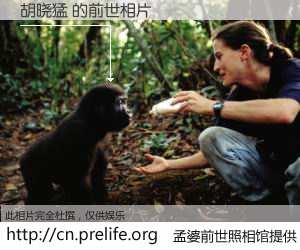 #孟婆前世照相馆# 【胡晓猛 的前世相片】我们都曾从奈何桥上走过，喝下三碗忘川之水烹煮的孟婆汤，忘却了前尘旧事。孟婆前世照相馆，保存着你前世的数码相片。胡晓猛 的前世相片，有图有真相：