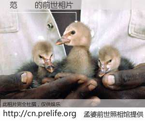 #孟婆前世照相馆# 【范慶珮 的前世相片】我们都曾从奈何桥上走过，喝下三碗忘川之水烹煮的孟婆汤，忘却了前尘旧事。孟婆前世照相馆，保存着你前世的数码相片。范慶珮 的前世相片，有图有真相：