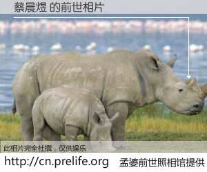 #孟婆前世照相馆# 【蔡晨煜 的前世相片】我们都曾从奈何桥上走过，喝下三碗忘川之水烹煮的孟婆汤，忘却了前尘旧事。孟婆前世照相馆，保存着你前世的数码相片。蔡晨煜 的前世相片，有图有真相：