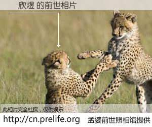 #孟婆前世照相馆# 【賴欣煜 的前世相片】我们都曾从奈何桥上走过，喝下三碗忘川之水烹煮的孟婆汤，忘却了前尘旧事。孟婆前世照相馆，保存着你前世的数码相片。賴欣煜 的前世相片，有图有真相：