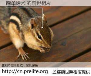 #孟婆前世照相馆# 【跑单话术 的前世相片】我们都曾从奈何桥上走过，喝下三碗忘川之水烹煮的孟婆汤，忘却了前尘旧事。孟婆前世照相馆，保存着你前世的数码相片。跑单话术 的前世相片，有图有真相：