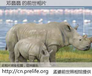 #孟婆前世照相馆# 【邓翡翡 的前世相片】我们都曾从奈何桥上走过，喝下三碗忘川之水烹煮的孟婆汤，忘却了前尘旧事。孟婆前世照相馆，保存着你前世的数码相片。邓翡翡 的前世相片，有图有真相：