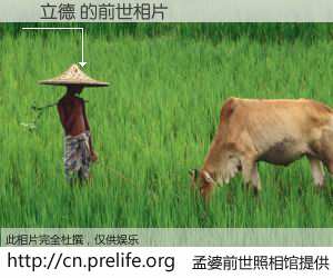 #孟婆前世照相馆# 【陳立德 的前世相片】我们都曾从奈何桥上走过，喝下三碗忘川之水烹煮的孟婆汤，忘却了前尘旧事。孟婆前世照相馆，保存着你前世的数码相片。陳立德 的前世相片，有图有真相：