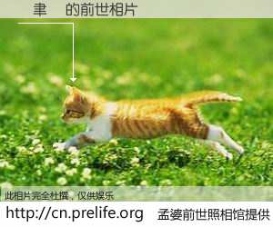 #孟婆前世照相馆# 【陳聿純 的前世相片】我们都曾从奈何桥上走过，喝下三碗忘川之水烹煮的孟婆汤，忘却了前尘旧事。孟婆前世照相馆，保存着你前世的数码相片。陳聿純 的前世相片，有图有真相：