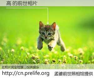 #孟婆前世照相馆# 【高 的前世相片】我们都曾从奈何桥上走过，喝下三碗忘川之水烹煮的孟婆汤，忘却了前尘旧事。孟婆前世照相馆，保存着你前世的数码相片。高 的前世相片，有图有真相：