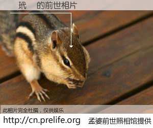 #孟婆前世照相馆# 【龔玳儀 的前世相片】我们都曾从奈何桥上走过，喝下三碗忘川之水烹煮的孟婆汤，忘却了前尘旧事。孟婆前世照相馆，保存着你前世的数码相片。龔玳儀 的前世相片，有图有真相：