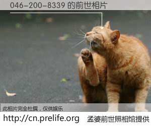 #孟婆前世照相馆# 【046-200-8339 的前世相片】我们都曾从奈何桥上走过，喝下三碗忘川之水烹煮的孟婆汤，忘却了前尘旧事。孟婆前世照相馆，保存着你前世的数码相片。046-200-8339 的前世相片，有图有真相：
