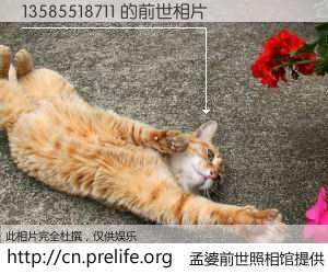 #孟婆前世照相馆# 【13585518711 的前世相片】我们都曾从奈何桥上走过，喝下三碗忘川之水烹煮的孟婆汤，忘却了前尘旧事。孟婆前世照相馆，保存着你前世的数码相片。13585518711 的前世相片，有图有真相：