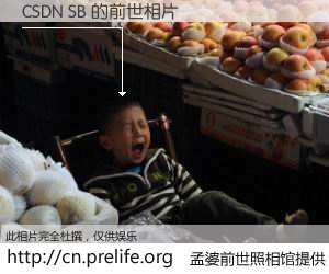 #孟婆前世照相馆# 【CSDN SB 的前世相片】我们都曾从奈何桥上走过，喝下三碗忘川之水烹煮的孟婆汤，忘却了前尘旧事。孟婆前世照相馆，保存着你前世的数码相片。CSDN SB 的前世相片，有图有真相：