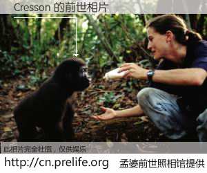 #孟婆前世照相馆# 【Cresson 的前世相片】我们都曾从奈何桥上走过，喝下三碗忘川之水烹煮的孟婆汤，忘却了前尘旧事。孟婆前世照相馆，保存着你前世的数码相片。Cresson 的前世相片，有图有真相：