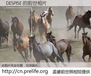 #孟婆前世照相馆# 【DESPISE 的前世相片】我们都曾从奈何桥上走过，喝下三碗忘川之水烹煮的孟婆汤，忘却了前尘旧事。孟婆前世照相馆，保存着你前世的数码相片。DESPISE 的前世相片，有图有真相：