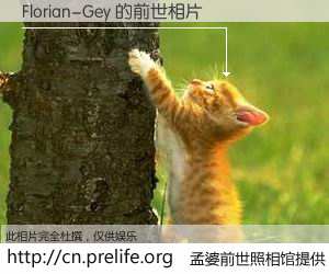 #孟婆前世照相馆# 【Florian-Gey 的前世相片】我们都曾从奈何桥上走过，喝下三碗忘川之水烹煮的孟婆汤，忘却了前尘旧事。孟婆前世照相馆，保存着你前世的数码相片。Florian-Gey 的前世相片，有图有真相：