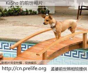 #孟婆前世照相馆# 【Ke$ha 的前世相片】我们都曾从奈何桥上走过，喝下三碗忘川之水烹煮的孟婆汤，忘却了前尘旧事。孟婆前世照相馆，保存着你前世的数码相片。Ke$ha 的前世相片，有图有真相：