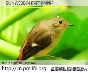 #孟婆前世照相馆# 【SUNWEBBIN 的前世相片】我们都曾从奈何桥上走过，喝下三碗忘川之水烹煮的孟婆汤，忘却了前尘旧事。孟婆前世照相馆，保存着你前世的数码相片。SUNWEBBIN 的前世相片，有图有真相：