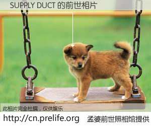 #孟婆前世照相馆# 【SUPPLY DUCT 的前世相片】我们都曾从奈何桥上走过，喝下三碗忘川之水烹煮的孟婆汤，忘却了前尘旧事。孟婆前世照相馆，保存着你前世的数码相片。SUPPLY DUCT 的前世相片，有图有真相：
