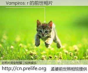 #孟婆前世照相馆# 【Vampiros: r 的前世相片】我们都曾从奈何桥上走过，喝下三碗忘川之水烹煮的孟婆汤，忘却了前尘旧事。孟婆前世照相馆，保存着你前世的数码相片。Vampiros: r 的前世相片，有图有真相：