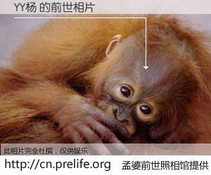 #孟婆前世照相馆# 【YY杨 的前世相片】我们都曾从奈何桥上走过，喝下三碗忘川之水烹煮的孟婆汤，忘却了前尘旧事。孟婆前世照相馆，保存着你前世的数码相片。YY杨 的前世相片，有图有真相：