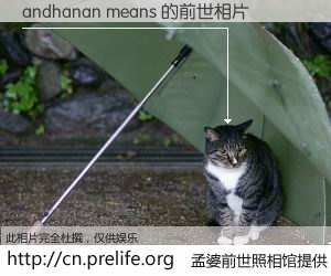 #孟婆前世照相馆# 【andhanan means 的前世相片】我们都曾从奈何桥上走过，喝下三碗忘川之水烹煮的孟婆汤，忘却了前尘旧事。孟婆前世照相馆，保存着你前世的数码相片。andhanan means 的前世相片，有图有真相：