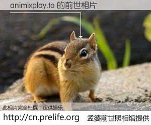 #孟婆前世照相馆# 【animixplay.to 的前世相片】我们都曾从奈何桥上走过，喝下三碗忘川之水烹煮的孟婆汤，忘却了前尘旧事。孟婆前世照相馆，保存着你前世的数码相片。animixplay.to 的前世相片，有图有真相：