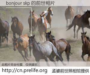#孟婆前世照相馆# 【bonjour skp 的前世相片】我们都曾从奈何桥上走过，喝下三碗忘川之水烹煮的孟婆汤，忘却了前尘旧事。孟婆前世照相馆，保存着你前世的数码相片。bonjour skp 的前世相片，有图有真相：