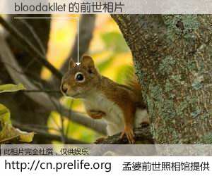 #孟婆前世照相馆# 【bloodakllet 的前世相片】我们都曾从奈何桥上走过，喝下三碗忘川之水烹煮的孟婆汤，忘却了前尘旧事。孟婆前世照相馆，保存着你前世的数码相片。bloodakllet 的前世相片，有图有真相：