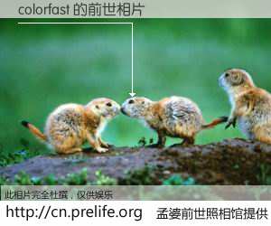 #孟婆前世照相馆# 【colorfast 的前世相片】我们都曾从奈何桥上走过,喝下三碗忘川之水烹煮的孟婆汤,忘却了前尘旧事。孟婆前世照相馆,保存着你前世的数码相片。colorfast 的前世相片,有图有真相: