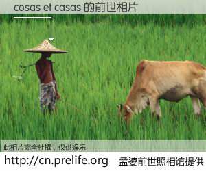 #孟婆前世照相馆# 【cosas et casas 的前世相片】我们都曾从奈何桥上走过，喝下三碗忘川之水烹煮的孟婆汤，忘却了前尘旧事。孟婆前世照相馆，保存着你前世的数码相片。cosas et casas 的前世相片，有图有真相：