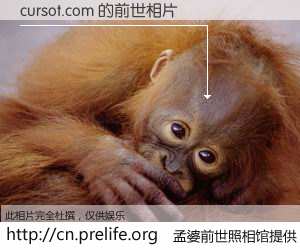 #孟婆前世照相馆# 【cursot.com 的前世相片】我们都曾从奈何桥上走过，喝下三碗忘川之水烹煮的孟婆汤，忘却了前尘旧事。孟婆前世照相馆，保存着你前世的数码相片。cursot.com 的前世相片，有图有真相：