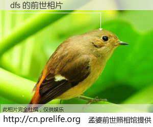 #孟婆前世照相馆# 【dfs 的前世相片】我们都曾从奈何桥上走过，喝下三碗忘川之水烹煮的孟婆汤，忘却了前尘旧事。孟婆前世照相馆，保存着你前世的数码相片。dfs 的前世相片，有图有真相：