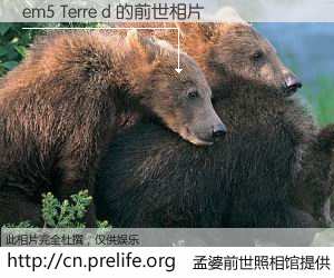 #孟婆前世照相馆# 【em5 Terre d 的前世相片】我们都曾从奈何桥上走过，喝下三碗忘川之水烹煮的孟婆汤，忘却了前尘旧事。孟婆前世照相馆，保存着你前世的数码相片。em5 Terre d 的前世相片，有图有真相：