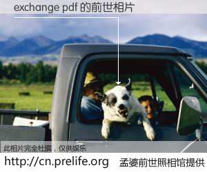 #孟婆前世照相馆# 【exchange pdf 的前世相片】我们都曾从奈何桥上走过，喝下三碗忘川之水烹煮的孟婆汤，忘却了前尘旧事。孟婆前世照相馆，保存着你前世的数码相片。exchange pdf 的前世相片，有图有真相：