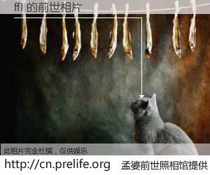 #孟婆前世照相馆# 【ff1 的前世相片】我们都曾从奈何桥上走过，喝下三碗忘川之水烹煮的孟婆汤，忘却了前尘旧事。孟婆前世照相馆，保存着你前世的数码相片。ff1 的前世相片，有图有真相：