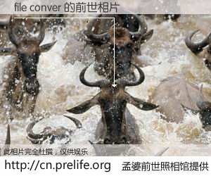 #孟婆前世照相馆# 【file conver 的前世相片】我们都曾从奈何桥上走过，喝下三碗忘川之水烹煮的孟婆汤，忘却了前尘旧事。孟婆前世照相馆，保存着你前世的数码相片。file conver 的前世相片，有图有真相：